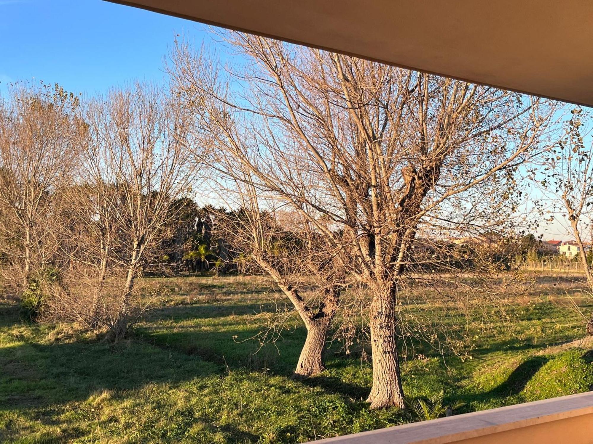 Lizzies Hus Lägenhet Fiumicino Exteriör bild